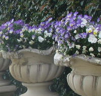 Gardenalia Open Garden and Rare Plant Nursery - Accommodation BNB