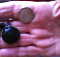 Hurleys Aquariums - Accommodation BNB