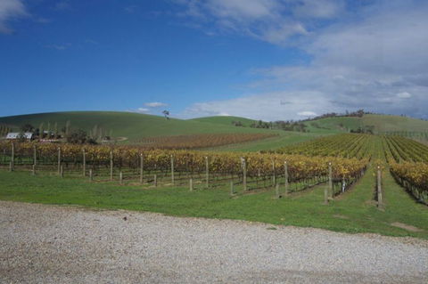 Wine Compass - Accommodation BNB 1