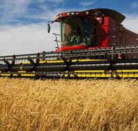 Quirindi Grain and produce - Accommodation BNB