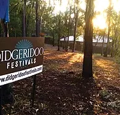 Didgeridoo Jam in the Park - Accommodation BNB