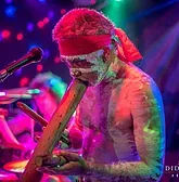 Didgeridoo Jam In The Park - Accommodation BNB 1