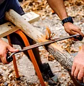 Didgeridoo Jam In The Park - Accommodation BNB 2