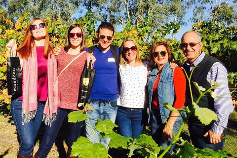 Swan Valley Tour From Perth: Wine, Beer And Chocolate Tastings - Accommodation BNB 2