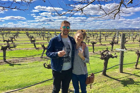 Swan Valley Tour From Perth: Wine, Beer And Chocolate Tastings - Accommodation BNB 5