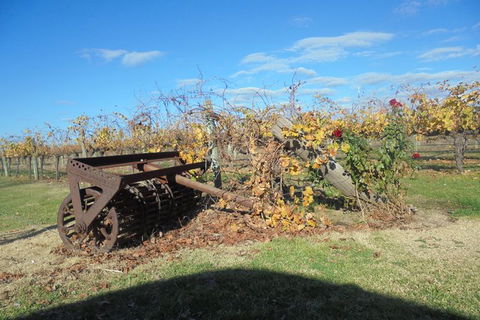 Swan Valley Tour From Perth: Wine, Beer And Chocolate Tastings - Accommodation BNB 7