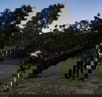 Stargazing Busselton with Mobile Observatory - Accommodation BNB