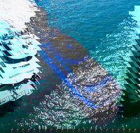 Rottnest Island Roundtrip Ferry from Perth with Transfer - Accommodation BNB
