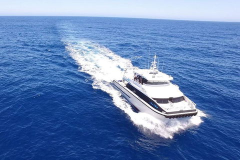 Dunsborough Whale Watching Eco Tour - Accommodation BNB 8