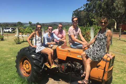 Half Day Swan Valley Wine Tour - Accommodation BNB 6