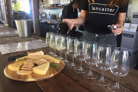 Half Day Swan Valley Wine Tour - Accommodation BNB 5