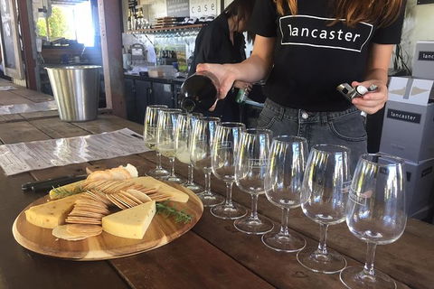 Half Day Swan Valley Wine Tour - Accommodation BNB 8