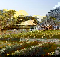 Margaret River and Geographe Bay Region Day Trip from Perth - Accommodation BNB