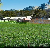 Upper Reach Winery Swan Valley Winery and Vineyard Tour - Accommodation BNB