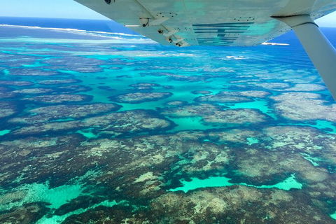 Kalbarri, Pink Lake And Abrolhos Islands Nature Tour - Accommodation BNB 5