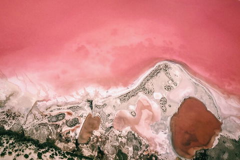 Kalbarri, Pink Lake And Abrolhos Islands Nature Tour - Accommodation BNB 6