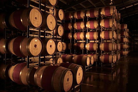 Vasse Felix Winery Tour And Tasting - Accommodation BNB 1