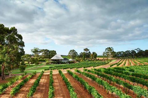 Vasse Felix Winery Tour And Tasting - Accommodation BNB 2