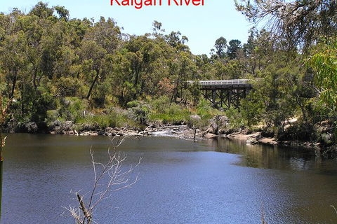 Kalgan Queen Scenic Cruises A Four Hour Sheltered Water Wildlife Tour Daily Fun. - Accommodation BNB 3