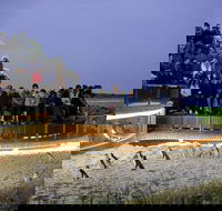 1 Day Private Phillip Island Tour VIP Charter up to 9 People - Accommodation BNB