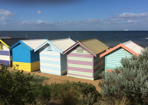 Half-Day Or Full-Day Tour With Private Guide From Melbourne - Accommodation BNB 2