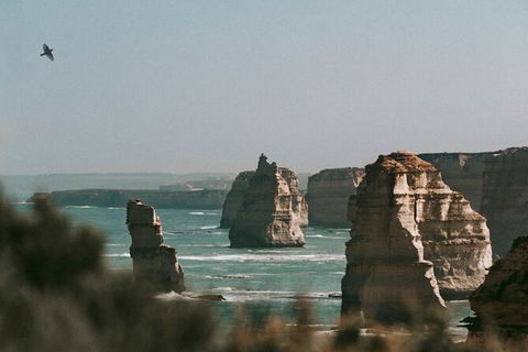 Half-Day Or Full-Day Tour With Private Guide From Melbourne - Accommodation BNB 10