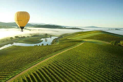 Half-Day Or Full-Day Tour With Private Guide From Melbourne - Accommodation BNB 7