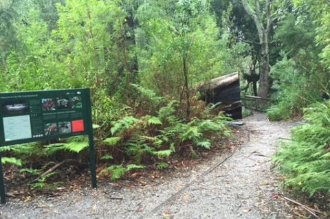 Wilsons Promontory Walking And Sightseeing Tour From Phillip Island - Accommodation BNB 1