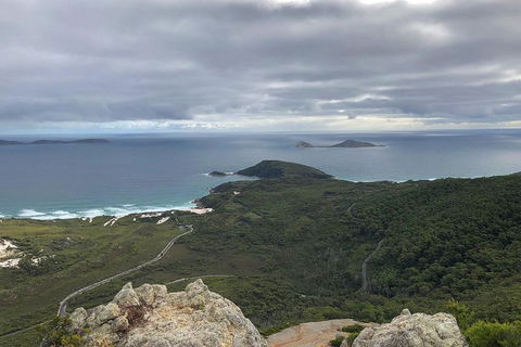 Wilsons Promontory Walking And Sightseeing Tour From Phillip Island - Accommodation BNB 7