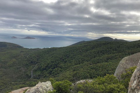 Wilsons Promontory Walking And Sightseeing Tour From Phillip Island - Accommodation BNB 5