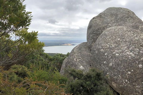 Wilsons Promontory Walking And Sightseeing Tour From Phillip Island - Accommodation BNB 15