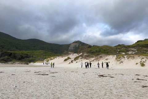 Wilsons Promontory Walking And Sightseeing Tour From Phillip Island - Accommodation BNB 4