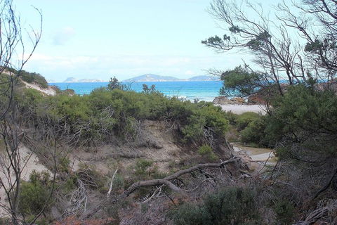 Wilsons Promontory Walking And Sightseeing Tour From Phillip Island - Accommodation BNB 14
