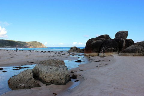 Wilsons Promontory Walking And Sightseeing Tour From Phillip Island - Accommodation BNB 10