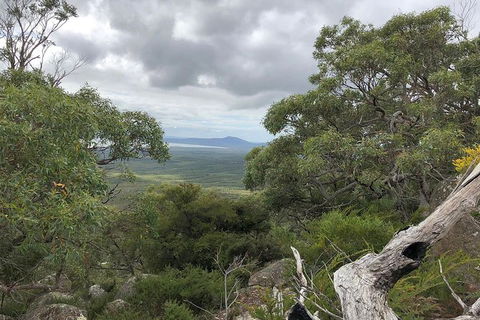 Wilsons Promontory Walking And Sightseeing Tour From Phillip Island - Accommodation BNB 13
