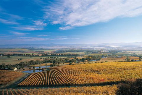 Half Day Yarra Valley Winery Day Trip From Melbourne - Accommodation BNB 0
