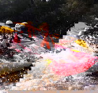 Whitewater Sports rafting on the Yarra river - Accommodation BNB