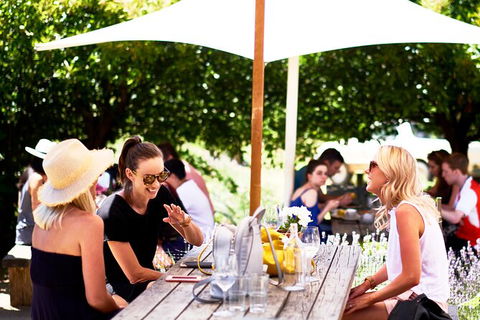 Montalto Vineyard: Mornington Peninsula Discovery Wine Tasting And Lunch - Accommodation BNB 3