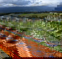 Yarra Valley Local Produce and Wine Tasting Tour - Accommodation BNB