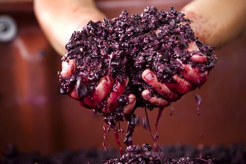 Yarra Valley Local Produce And Wine Tasting Tour - Accommodation BNB 7