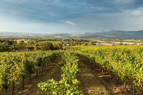 Yarra Valley Local Produce And Wine Tasting Tour - Accommodation BNB 4