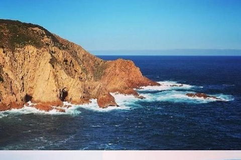 Half Day Phillip Island Woolamai Walking Tour - Accommodation BNB 1