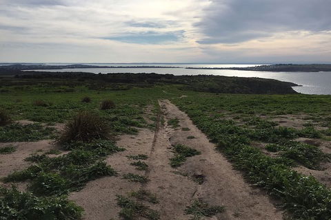 Half Day Phillip Island Woolamai Walking Tour - Accommodation BNB 8