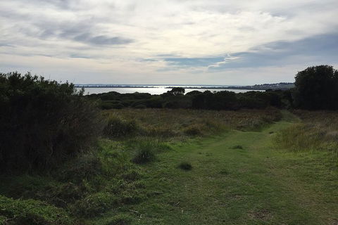 Half Day Phillip Island Woolamai Walking Tour - Accommodation BNB 4