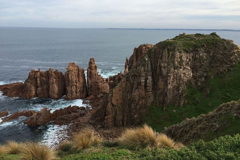 Half Day Phillip Island Woolamai Walking Tour - Accommodation BNB 16