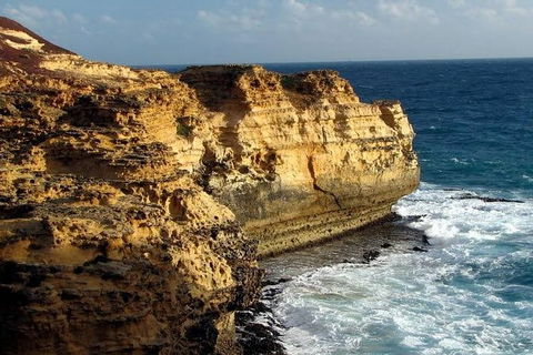 Half Day Phillip Island Woolamai Walking Tour - Accommodation BNB 12
