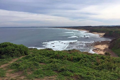 Half Day Phillip Island Woolamai Walking Tour - Accommodation BNB 13