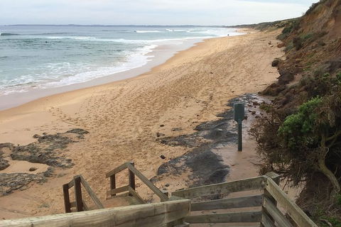 Half Day Phillip Island Woolamai Walking Tour - Accommodation BNB 11