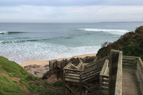 Half Day Phillip Island Woolamai Walking Tour - Accommodation BNB 5