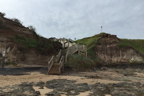 Half Day Phillip Island Woolamai Walking Tour - Accommodation BNB 14